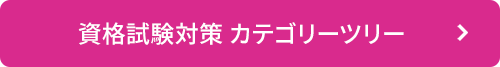 資格試験対策カテゴリーツリー